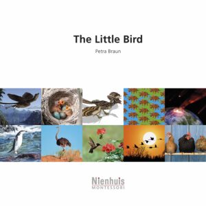 The little bird    