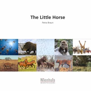 The little horse   