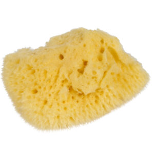 Small Natural Sponge