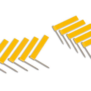 Extra Flags: Yellow (10)