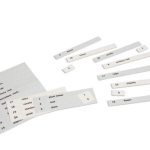 Name Cards: First Set Of Botany Cards