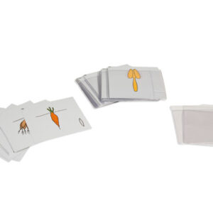 Second Set Of Botany Cards