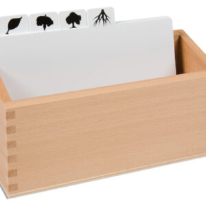 Botany Puzzle: Copy Masters Box