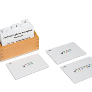 Algebraic Peg Board Activity Set: 2
