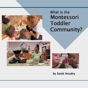 What Is The Montessori Toddler Community?