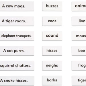 Animals And Their Sounds