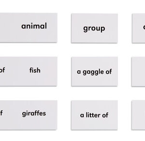 Animals And Their Groups